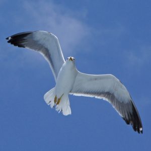 Produkte zum Download